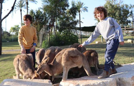 גן גורו: ימי שלישי ב”פברואר יוצא מן הכלל”