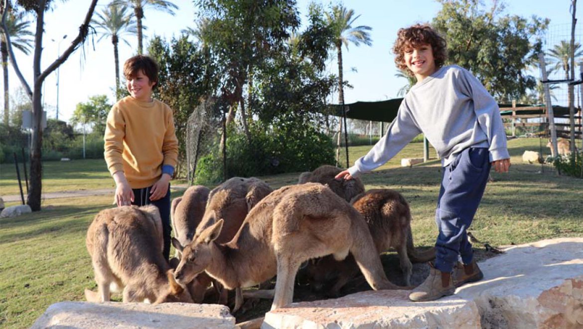 גן גורו: ימי שלישי ב”פברואר יוצא מן הכלל”