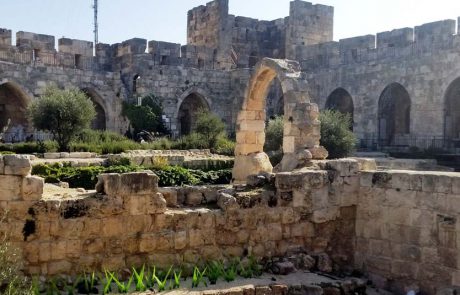 מוזיאון מגדל דוד: שפע פעילויות מרתקות בעונת החורף