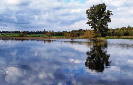 מודעות לאקולוגיה: “יום בתי הגידול המימיים הבין-לאומי”