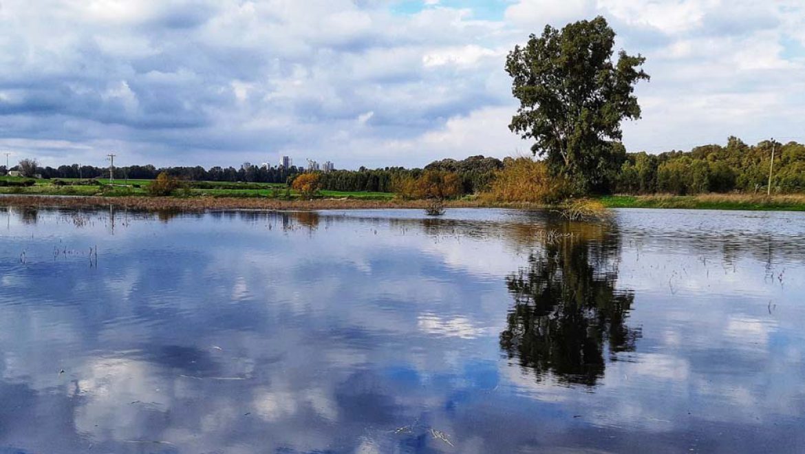 מודעות לאקולוגיה: “יום בתי הגידול המימיים הבין-לאומי”