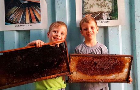 מועצת הדבש מזמינה את המשפחות לחגוג חנוכה במכוורות ברחבי הארץ