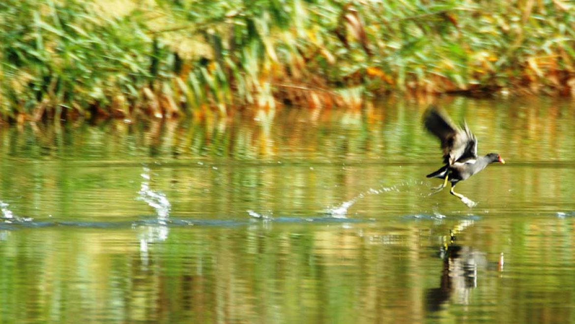 סיור בעקבות האוצר האבוד בנחל לכיש לכל המשפחה