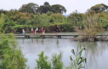 המונים טיילו בסופ”ש בגנים לאומיים תל אפק, גן השלושה, קיסריה ועין גדי