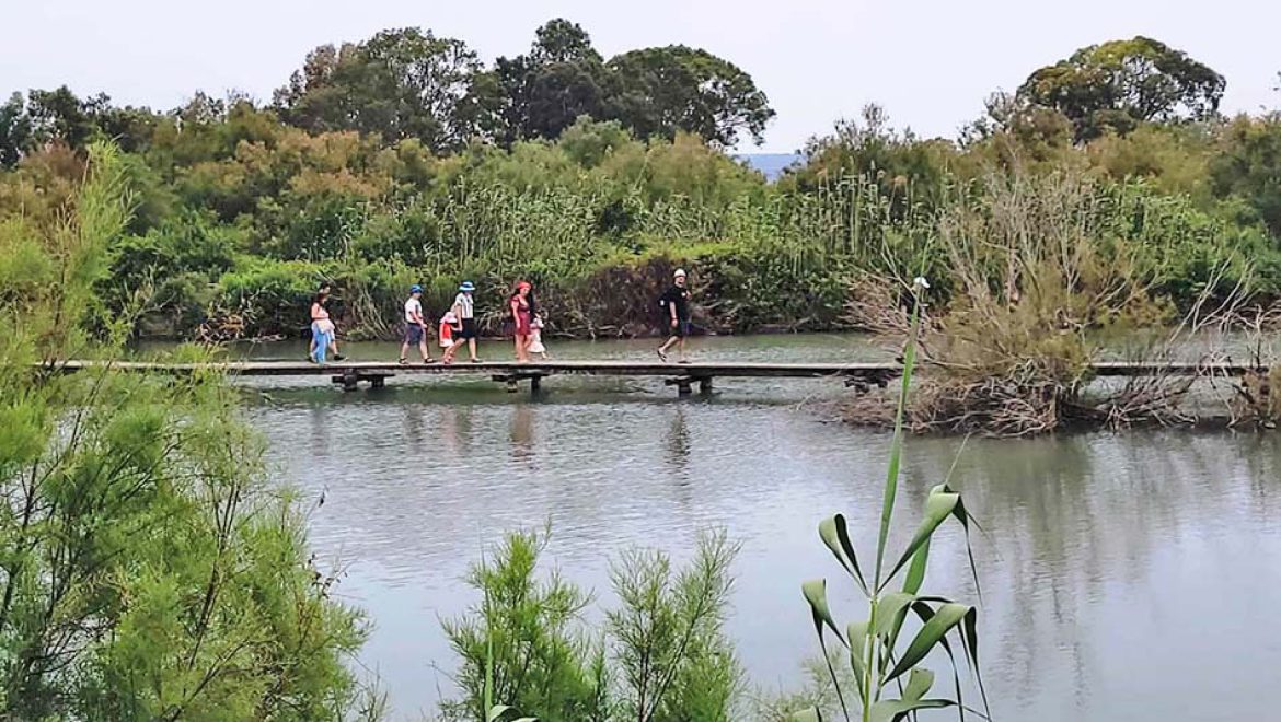 המונים טיילו בסופ”ש בגנים לאומיים תל אפק, גן השלושה, קיסריה ועין גדי