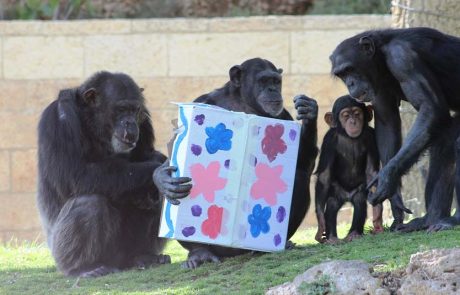 על חיות, תחפושות ומשלוחי מנות: פורים בגן החיות התנ”כי, ירושלים