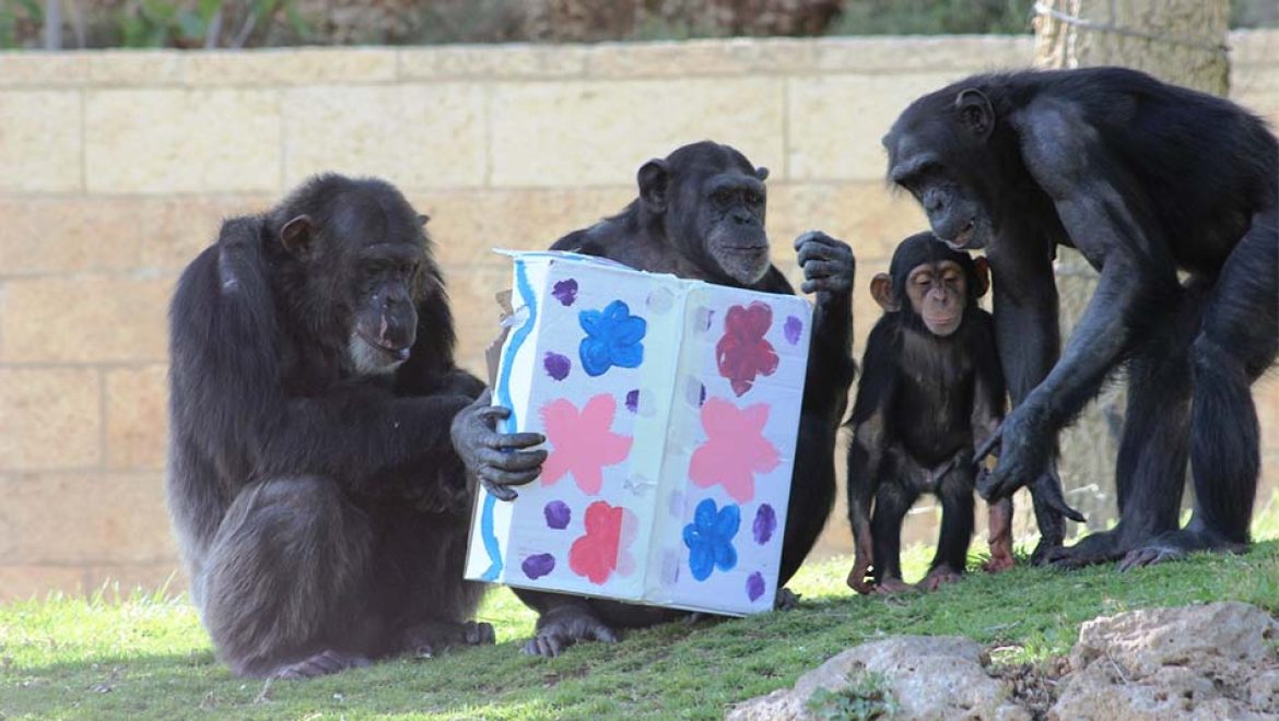 על חיות, תחפושות ומשלוחי מנות: פורים בגן החיות התנ”כי, ירושלים