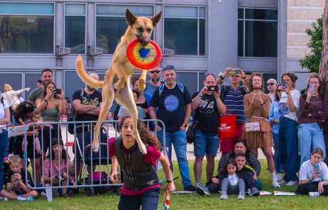 ואהבת את כלבך כמוך: יריד אימוץ בפארק הלאומי ר”ג