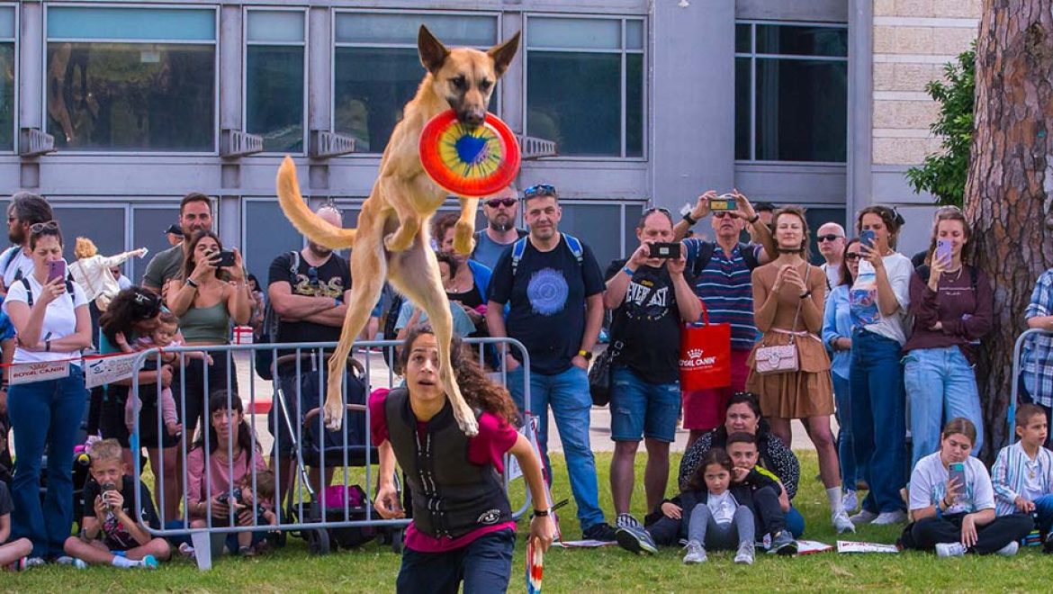 ואהבת את כלבך כמוך: יריד אימוץ בפארק הלאומי ר”ג