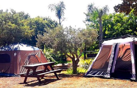 קמפינג משפחתי בלב בוסתן ‘בראשית’ בעין זיוון