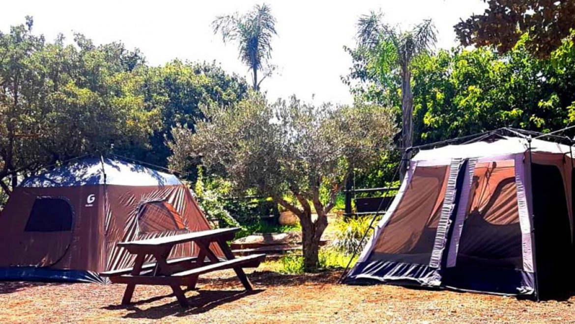 קמפינג משפחתי בלב בוסתן ‘בראשית’ בעין זיוון