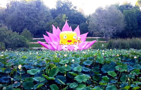 “בוטניפלצת”: כשהצמחים בגן הבוטני בירושלים, פוגשים מפלצות