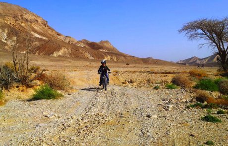 לכבוד יום האופניים: טיפים לרכיבה בטוחה על אופניים, לכל בני המשפחה