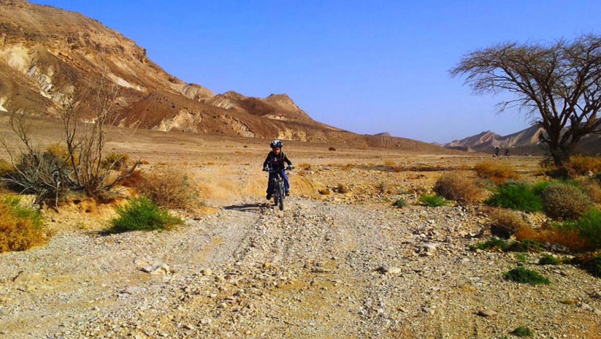 לכבוד יום האופניים: טיפים לרכיבה בטוחה על אופניים, לכל בני המשפחה
