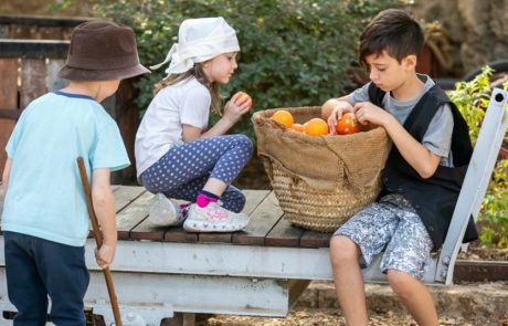 קיץ משפחתי באתרי המורשת: מוזמנים לסיורים מסובסדים בעשרות אתרים