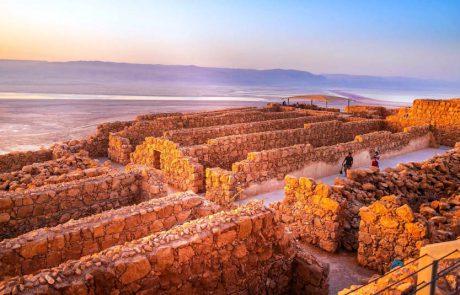 מגוון טיולים ופעילויות ערב משפחתיות בדרום הארץ