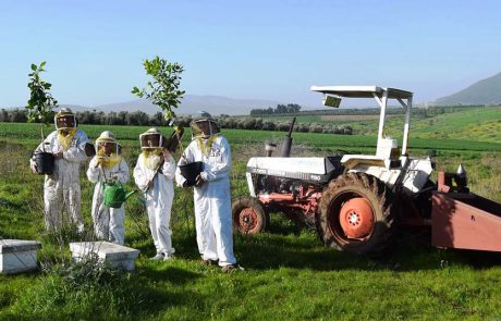 מועצת הדבש מזמינה בחג האילנות את המשפחה למכוורות ברחבי הארץ