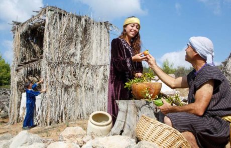 סוכות של צמיחה בנאות קדומים