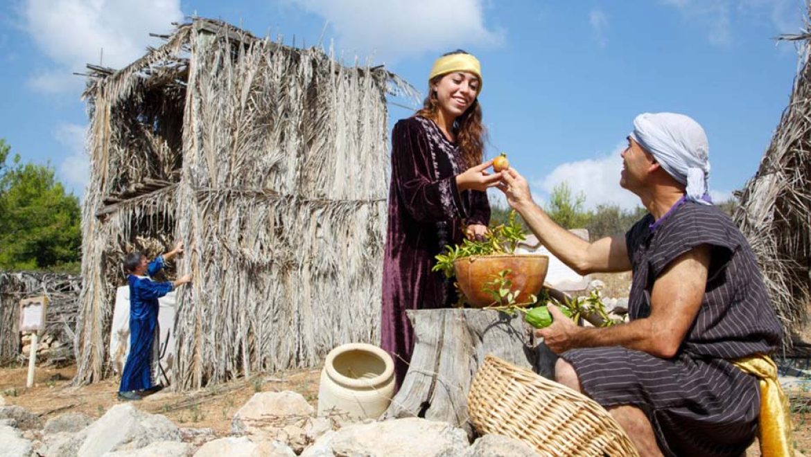 סוכות של צמיחה בנאות קדומים