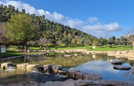 המשפחות אינן מוותרות על יציאה לטבע גם בחורף, אך נזהרות