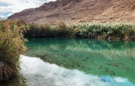 “כך אנחנו שומרים על הטבע”, ביוזמת רשות הטבע והגנים