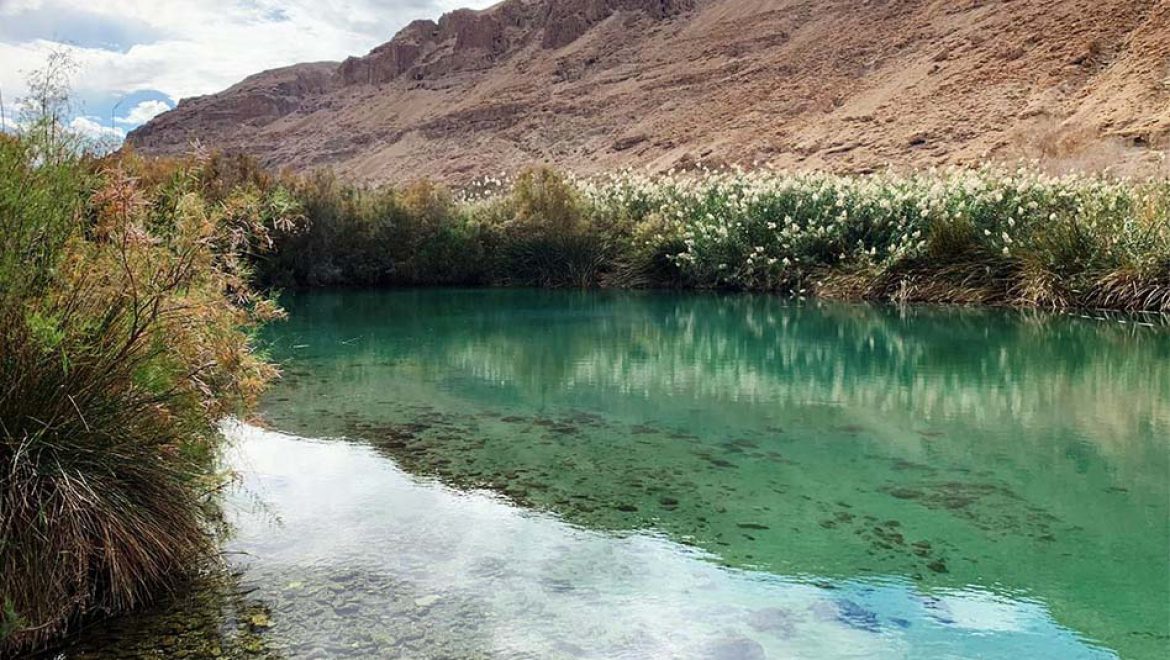 “כך אנחנו שומרים על הטבע”, ביוזמת רשות הטבע והגנים