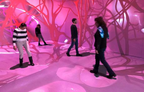 חדש בפסח: מרכז חדשנות במדעטק חיפה, עם פעילויות לכל המשפחה