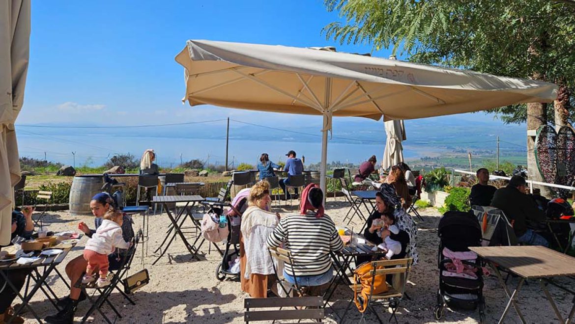 מצביעים ונוסעים: המשפחות מטיילות ונהנות בגולן
