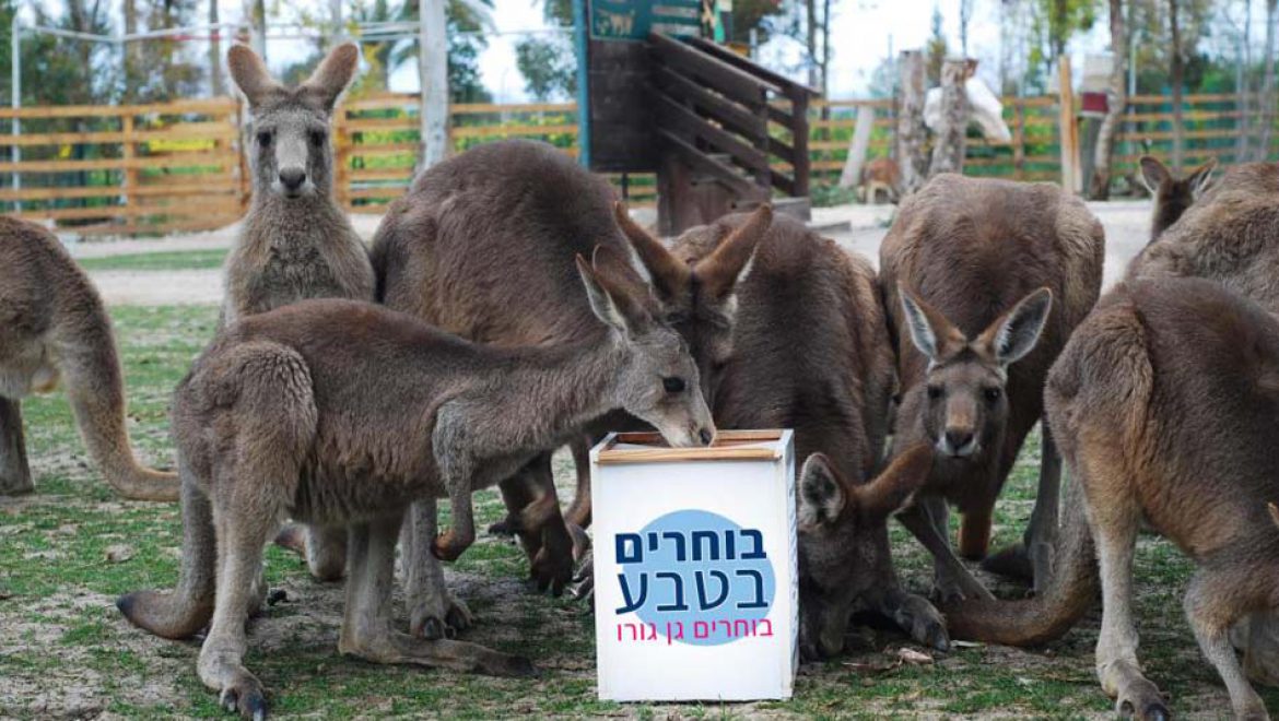 בוחרים בגן גורו, בוחרים בטבע