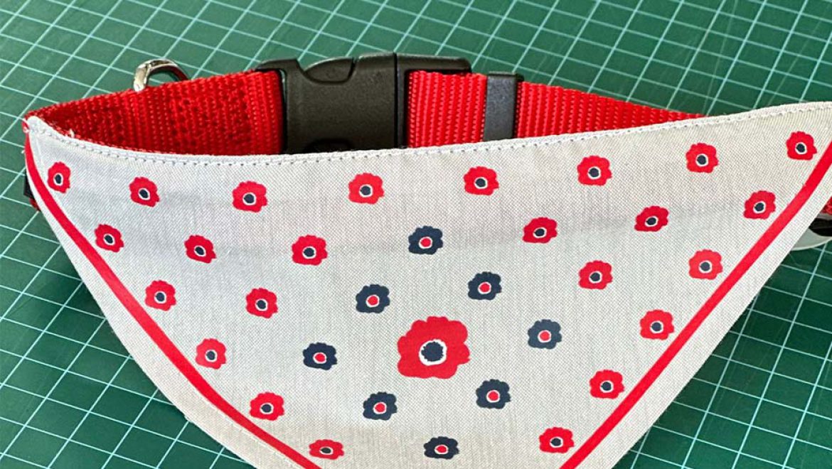 לכבוד יום הכלב הבינלאומי: “קפה עוטף – נתיב העשרה” בשרונה ת”א