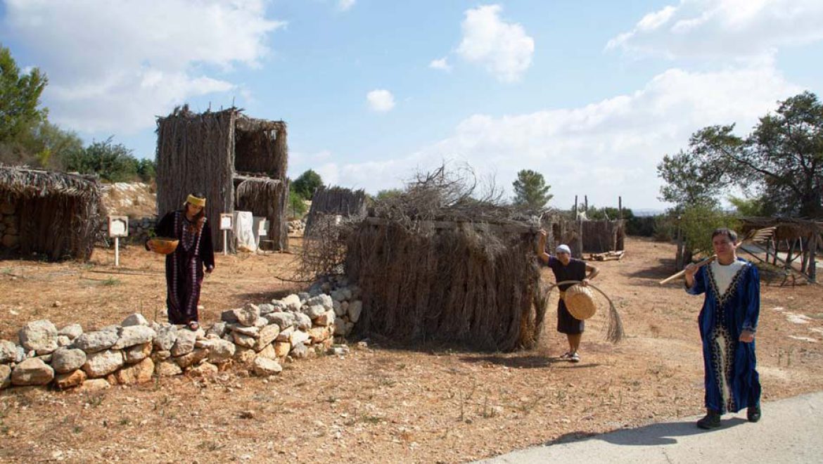 סוכות של צמיחה: המשפחות חוגגות את חוה”מ סוכות בנאות קדומים