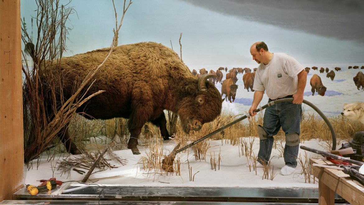 תיאטרון החיות: במרכז החווייתי למשפחה ע”ש יונס וסוראיה נזריאן