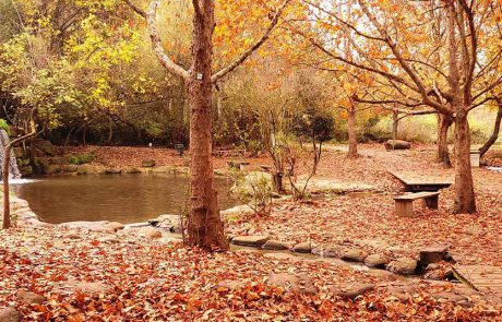 שַׁלֶּכֶת: טיולים משפחתים בתוך היופי האדום-כתום-חום