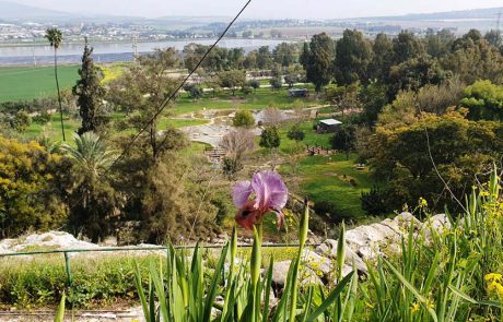 שבת חמימה ושטופת שמש, הוציאה את עם ישראל לטיולים בטבע