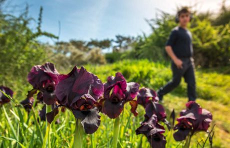 טבעירוני: נתניה חוגגת עם כל המשפחה את עונת הפריחה