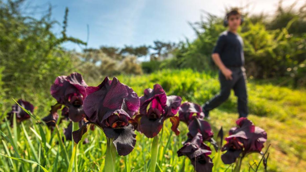 טבעירוני: נתניה חוגגת עם כל המשפחה את עונת הפריחה