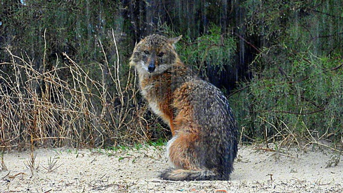 המשפחות יצאו לטייל גם בשבת החורפית