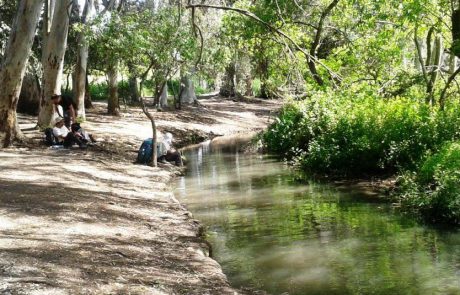 שבת של סיורים וטיולים משפחתיים בנחלים ברחבי הארץ