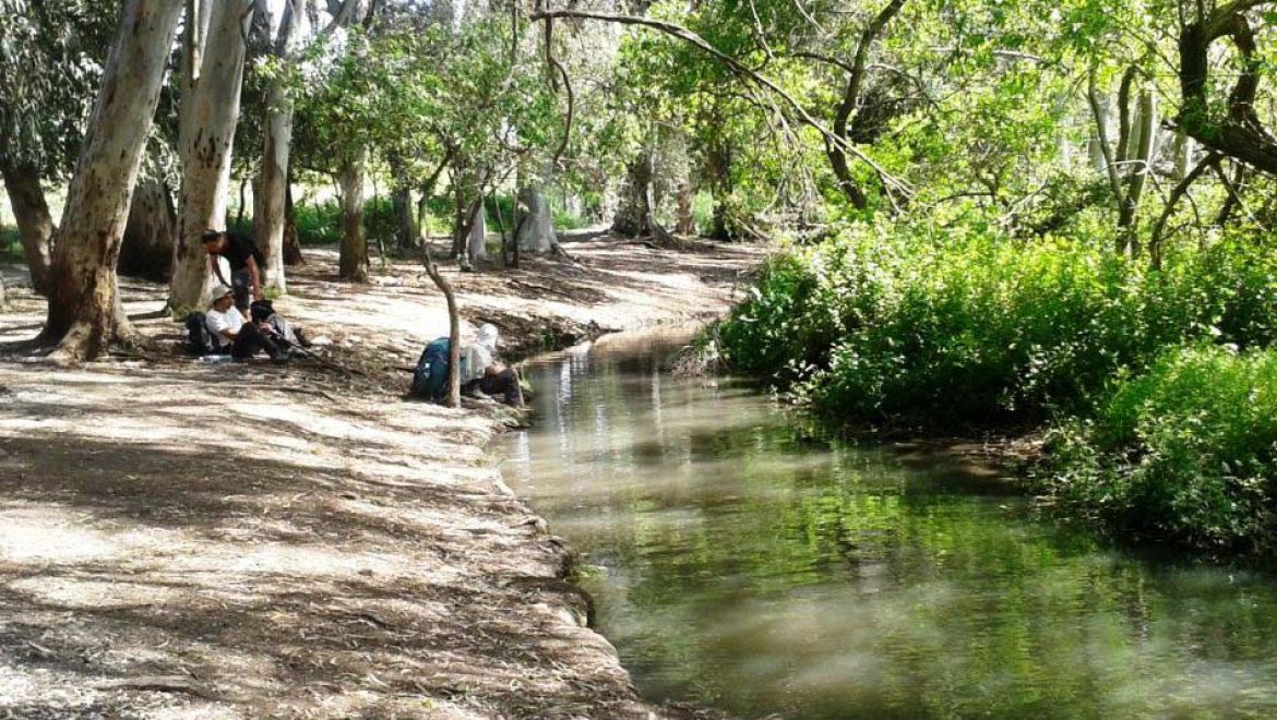 שבת של סיורים וטיולים משפחתיים בנחלים ברחבי הארץ