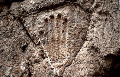 של מי כף היד המסתורית הזאת?