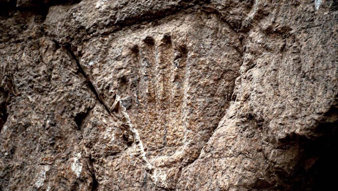 של מי כף היד המסתורית הזאת?