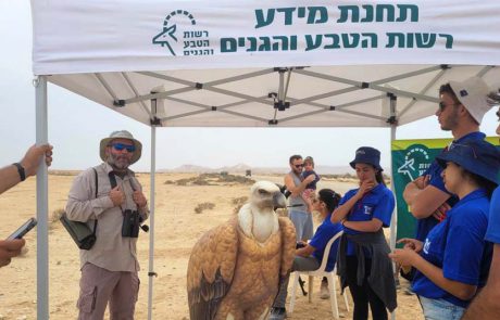 מצילים את הנשרים: בעקבות ההרעלה החמורה בדרום הארץ