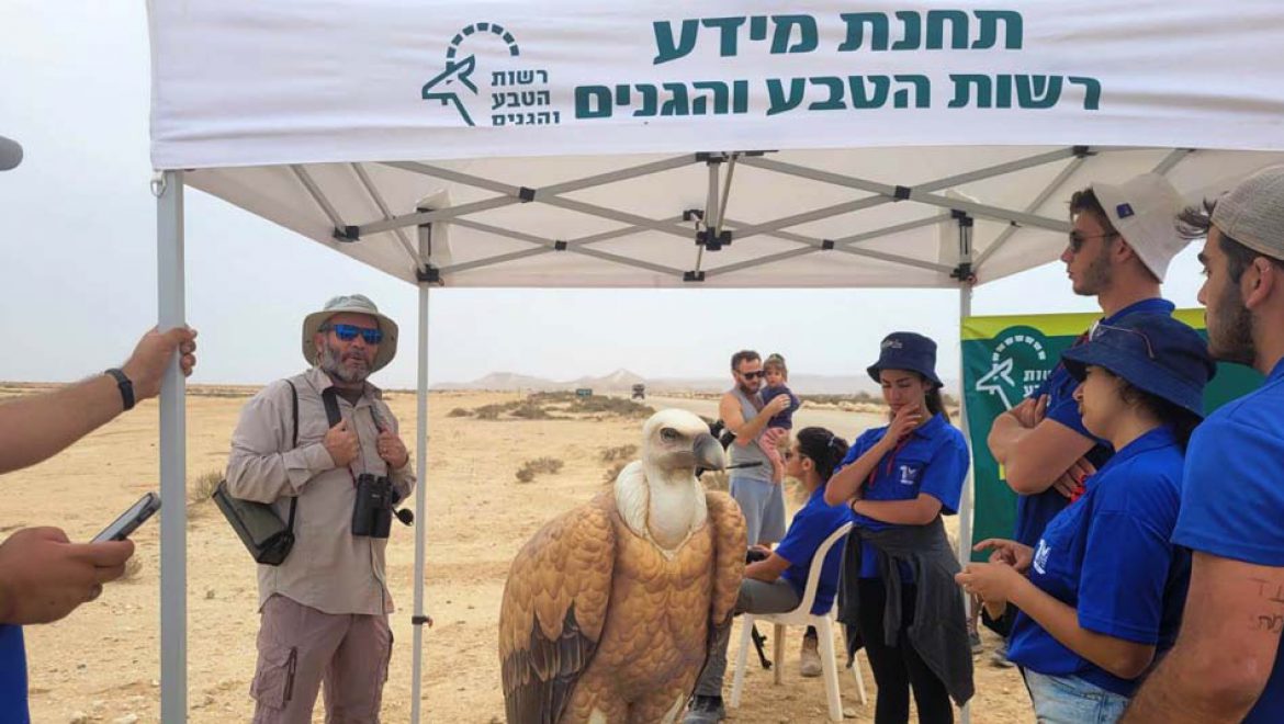 מצילים את הנשרים: בעקבות ההרעלה החמורה בדרום הארץ