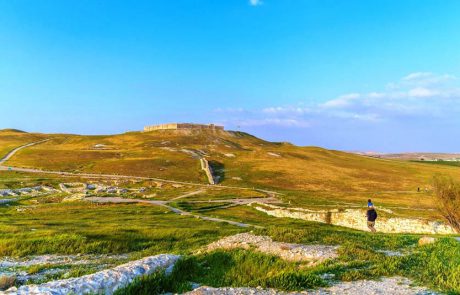 סקרנים לחזור אחורה בזמן 3000 שנה? בואו לתל ערד