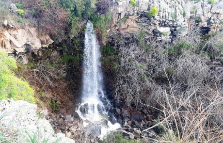 החורף כאן במלא הדרו, ולכן ניזהר בטיולים המשפחתיים