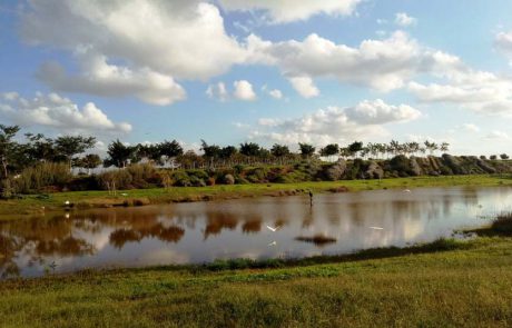 פורים שמח בפארק אריאל שרון במרכז הארץ