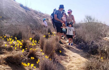 הגנים הלאומיים קיסריה, מצדה וירקון תל אפק, בלטו בשפע המטיילים