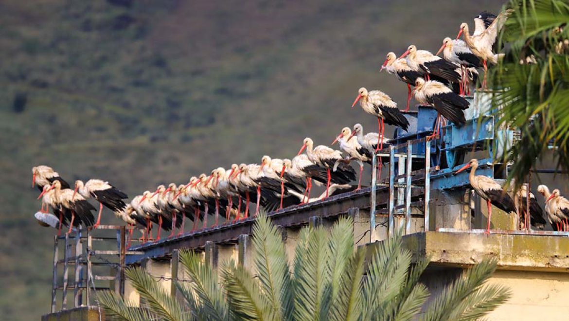 המשפחות ממשיכות לטייל גם בחג המימונה וכן בסופ”ש