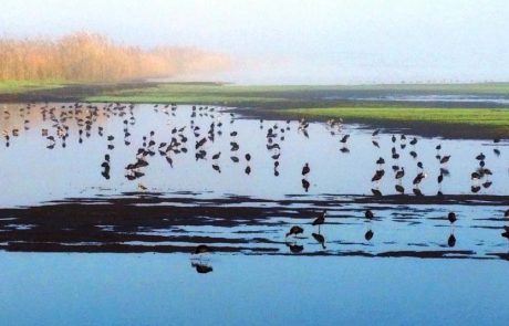 התגעגענו, בטח גם אתם: יוצאים מהקורונה לחיק הטבע