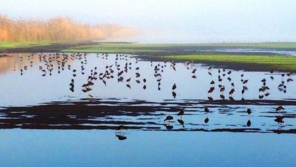 התגעגענו, בטח גם אתם: יוצאים מהקורונה לחיק הטבע